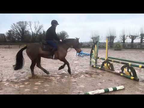 Corglass TJ - Image 2