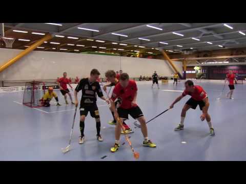 17.12.2016  IKHTYS - Blackbirds III (kooste)