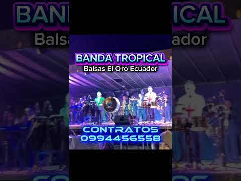 𝐁𝐀𝐍𝐃𝐀 𝐓𝐑𝐎𝐏𝐈𝐂𝐀𝐋 𝐔𝐧𝐚 𝐁𝐚𝐧𝐝𝐚 𝐒𝐢𝐧 𝐈𝐠𝐮𝐚𝐥 - Balsas El Oro Ecuador: 𝗖𝗢𝗡𝗧𝗥𝗔𝗧𝗢𝗦 𝗔𝗟: 𝟬𝟵𝟵𝟰𝟰𝟱𝟲𝟱𝟱𝟴