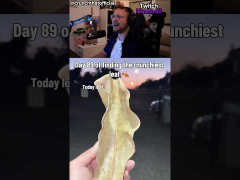 Soo ein männliches Video!
#reaktion #viral #man #männlich
