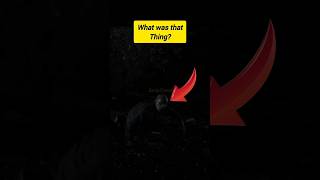 The Creature in the Woods Took Him… She Was Next&quot; #shorts