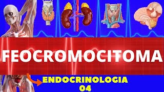 FEOCROMOCITOMA (TUMOR QUE CAUSA HIPERTENSÃO) - ENDOCRINOLOGIA