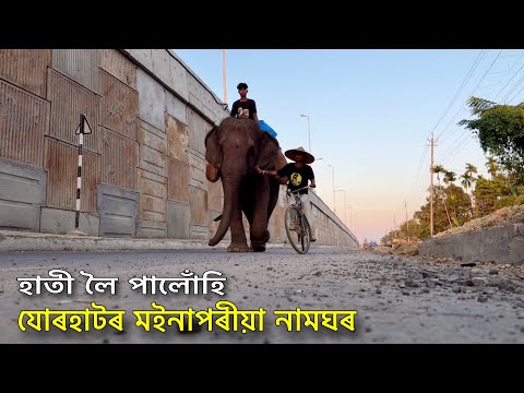 হাতী লৈ পালোঁহি যোৰহাটৰ মইনাপৰীয়া নামঘৰ - Episode 5 : ZUBEEN GARG Memorial Walk