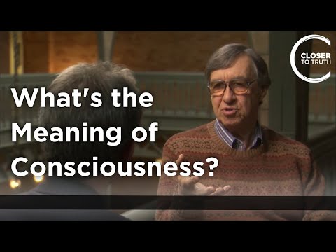 Charles Tart - What is the Meaning of Consciousness?