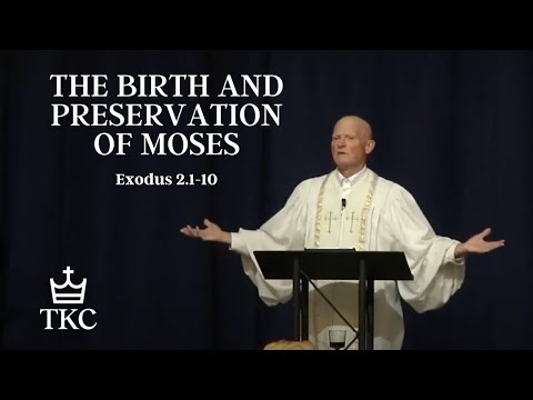 The Birth and Preservation of Moses - Alan Burrow | Exodus