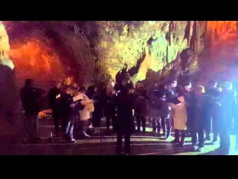 MePZ Glasbena matica -  Adeste Fideles