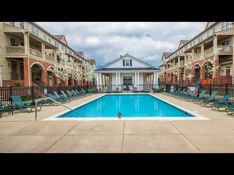 3939 Forester Boulevard Auburn Hills, MI 48326