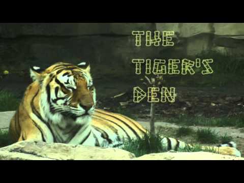 April 19th Power Trading Hour with David White on TFNN - 2016