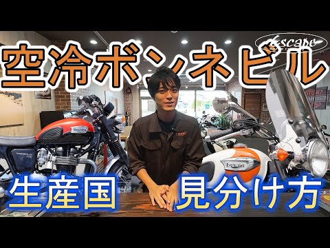 ボンネビル城について詳しく解説