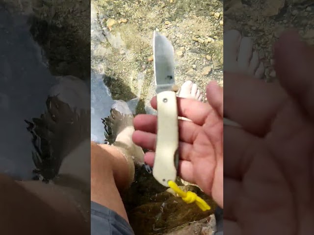 Vídeo relacionado con DRACHENADER Cuchillo B-ER-TANTO POINT, Outdoor Survival Cuchillo de hoja fija, 13 cm de longitud de hoja, cuchillo de cinturón de acero 5Cr14MoV, con funda (A-Cuchilla plateada - Empuñadura caqui)