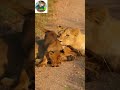 Jara Ham Bhi To Dekhe Humse Bada Shaitan Kaun Paida Ho Gaya