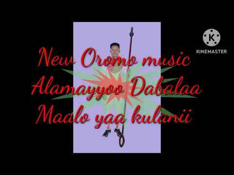 New Ethiopian Oromo music Alamaayyoo Dabalaa maalo yaa kuulanii  (official video) 2023