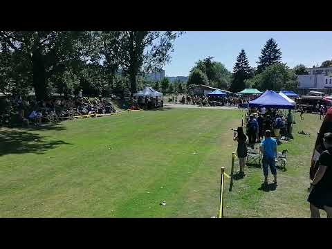 DHZ ZBORA B - ZLPS LOUKY 2022