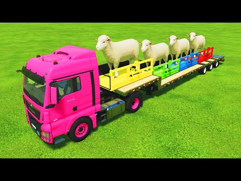 TRANSPORT OF COLORS ! GIANT SHEEP LOADING ON LOW LOADER with MINI TRACTORS ! Farming Simulator 22