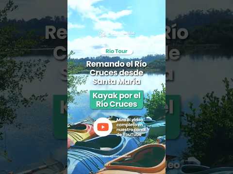 Comienza la travesía en kayak por el Río Cruces | Río Tour 🚣‍♂️🌳#shorts #aguasbonitas  #kayak