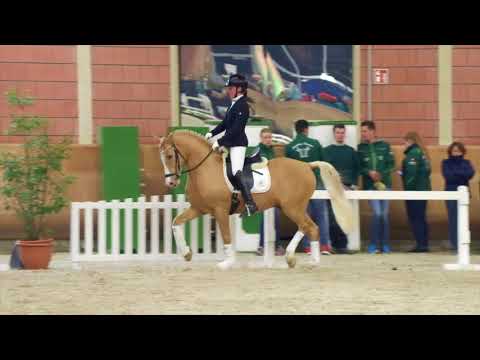 FS Mr. President | Ferienhof Stücker