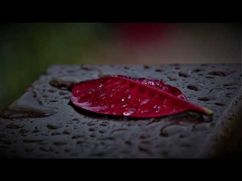 It's Christmas Day - Made Of Snow #lucid #dreaming #music #relaxation #dream #healing #soothing