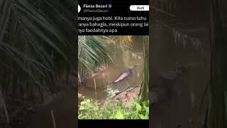 Download lagu namanya juga hobi,, TOMAN TERBESAR DI DUNIA 😱😱#toman #gabus mp3