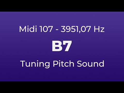 B7 Tuning Pitch | 3951,07 Hz | Midi Key 107