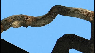 Ironbark lookout getting to the zombies Mini Game with an attempt at bringing the cultist.