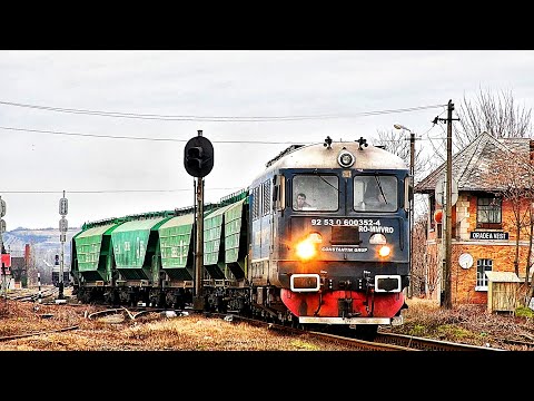 Marfar MMV cu cereale , având D.A. 60-0352-4 la tracțiune-Episcopia Bihor-Oradea Vest-10.02.2020