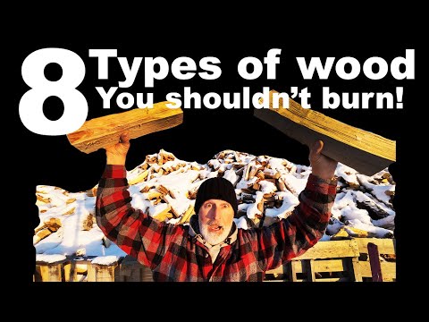 FIREWOOD 8 KINDS OF WOOD YOU SHOULD NEVER BURN!