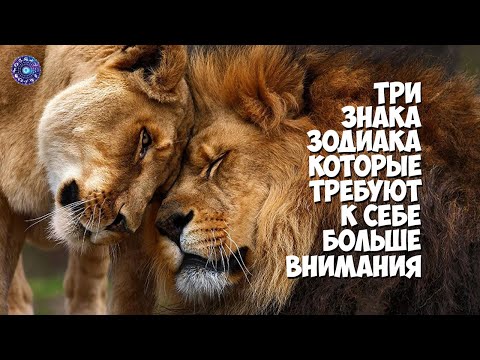 3 знака зодиака, которые требуют к себе больше внимания, чем другие