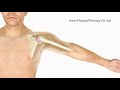 What is a Frozen Shoulder (Animation)