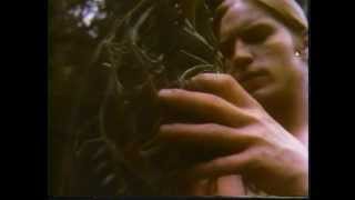 The Gardener (1974) Video