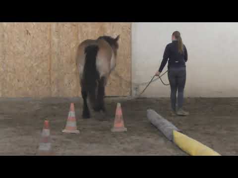 Challenge Part 1 [Extreme Trail Pauwels] - Alexa