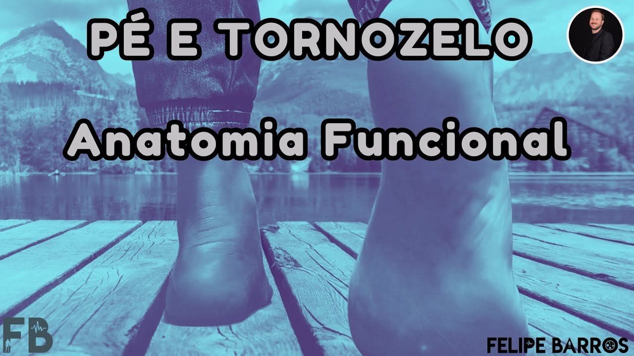 TORNOZELO E PÉ - Anatomia funcional | Prof. Felipe Barros