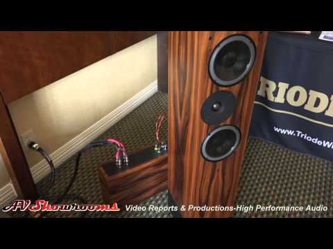 Border Patrol amplifiers, DACs, Gary Dews, Living Voice loudspeakers, Triode Wire Labs Capital Audio