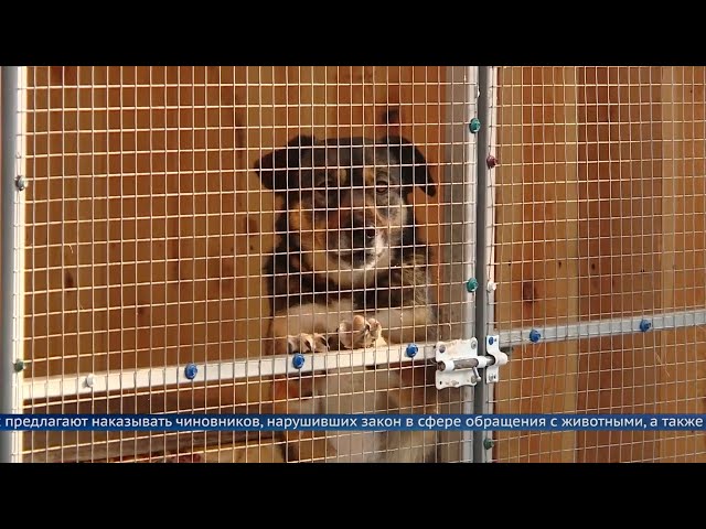 200 тысяч рублей за нарушение закона