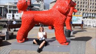 Rebecca &amp; Fiona - Sayonara (Speaker of the House Remix)(Helen and Lize)