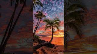 Download lagu #aesthetic #vibes #suasanasorehari #sunset #sorehari mp3