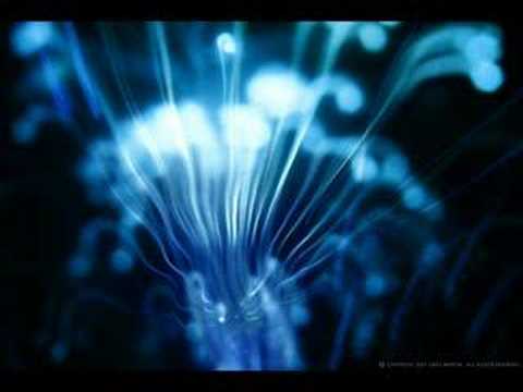 Sasha -  Live in Ibiza @ Priviledge- Junkie XL - Breezer