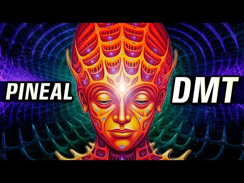 CAUTION ✋ DMT Will Be RELEASED into Your PINEAL GLAND ((VERY POWERFUL))