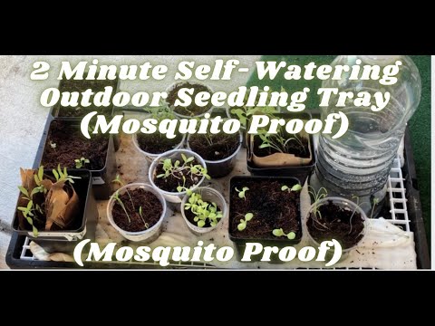 Self Watering Outdoor Seedling Mat
