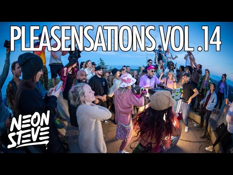 Neon Steve - Pleasensations Vol.14 - DJ Set