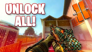 HOW TO GET MAX LEVEL AND UNLOCK ALL IN BLACK OPS 2 PLUTONIUM