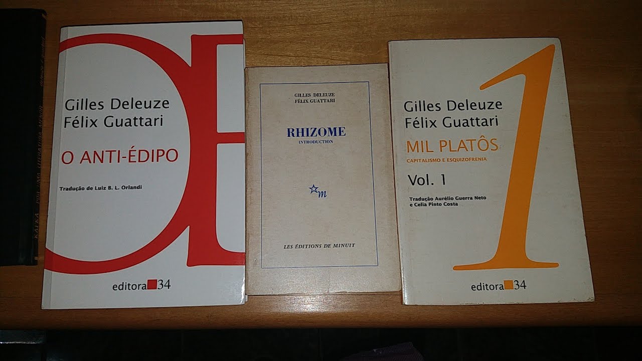 Rizoma e cartografia em Deleuze e Guattari