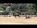 Sweet water horse show 