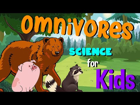 Omnivores | Science for Kids