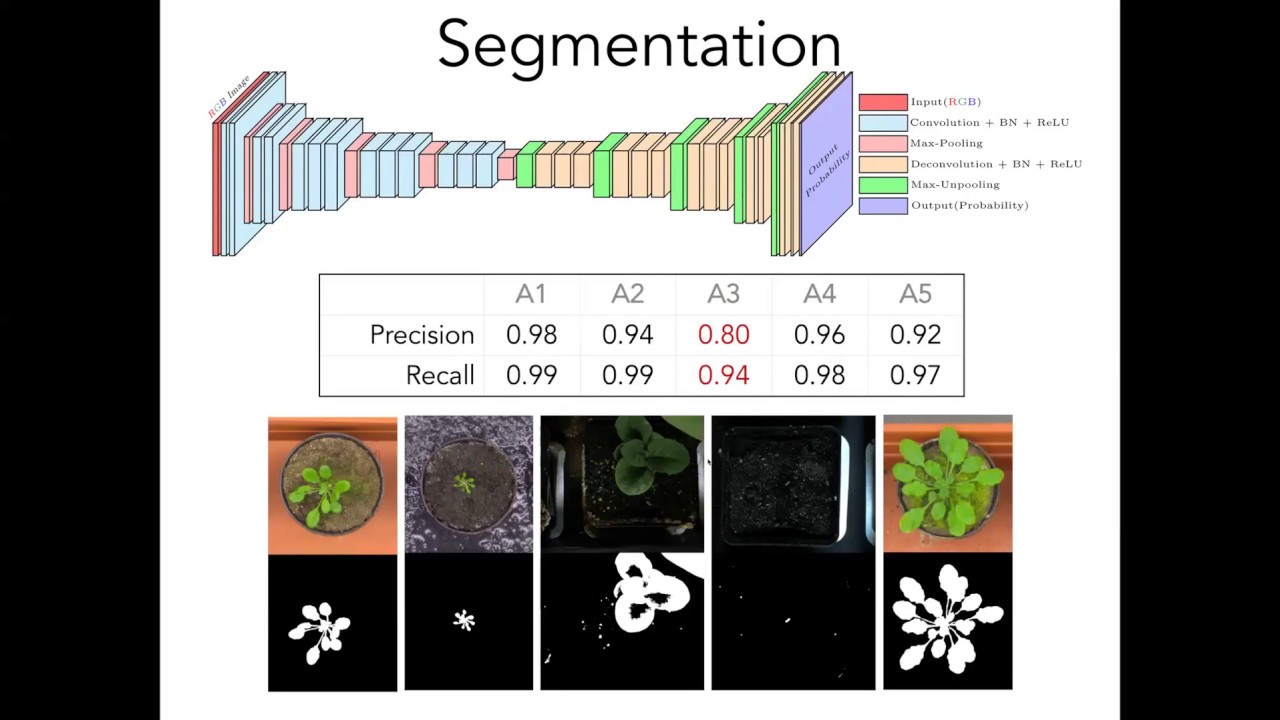 Deep learning for image-based plant phenomics