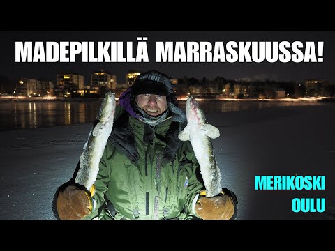 MERIKOSKI OULU - Madepilkillä Marraskuussa ja kylmää oli ku Siperiassa! (Rangerin Kalavinkkivideot)
