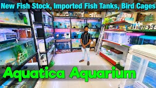 New Fish Stock at Aquatica Aquarium Store