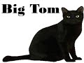 BIG TOM ( read along )