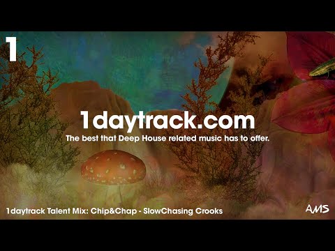 Talent Mix #92 | Chip&Chap - SlowChasing Crooks | 1daytrack.com