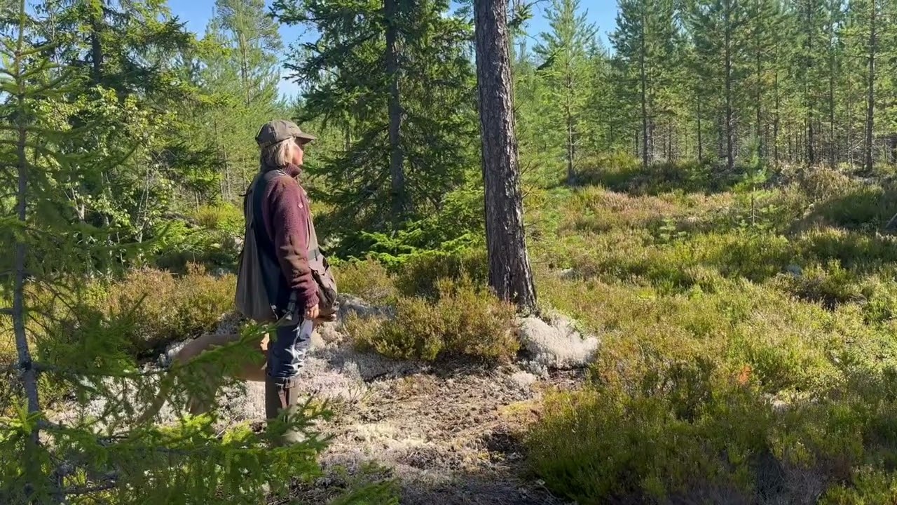 4 verdenshjørner i terrenget-ta den jeg peker på.