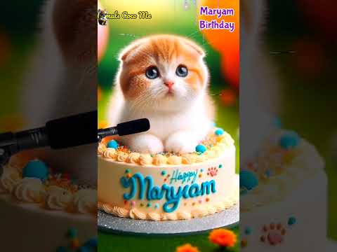 MARYAM BIRTHDAY | HAPPY BIRTHDAY SONG WITH NAMES | Adorable Cute Cat 😺 #happybirthday #cat #cute